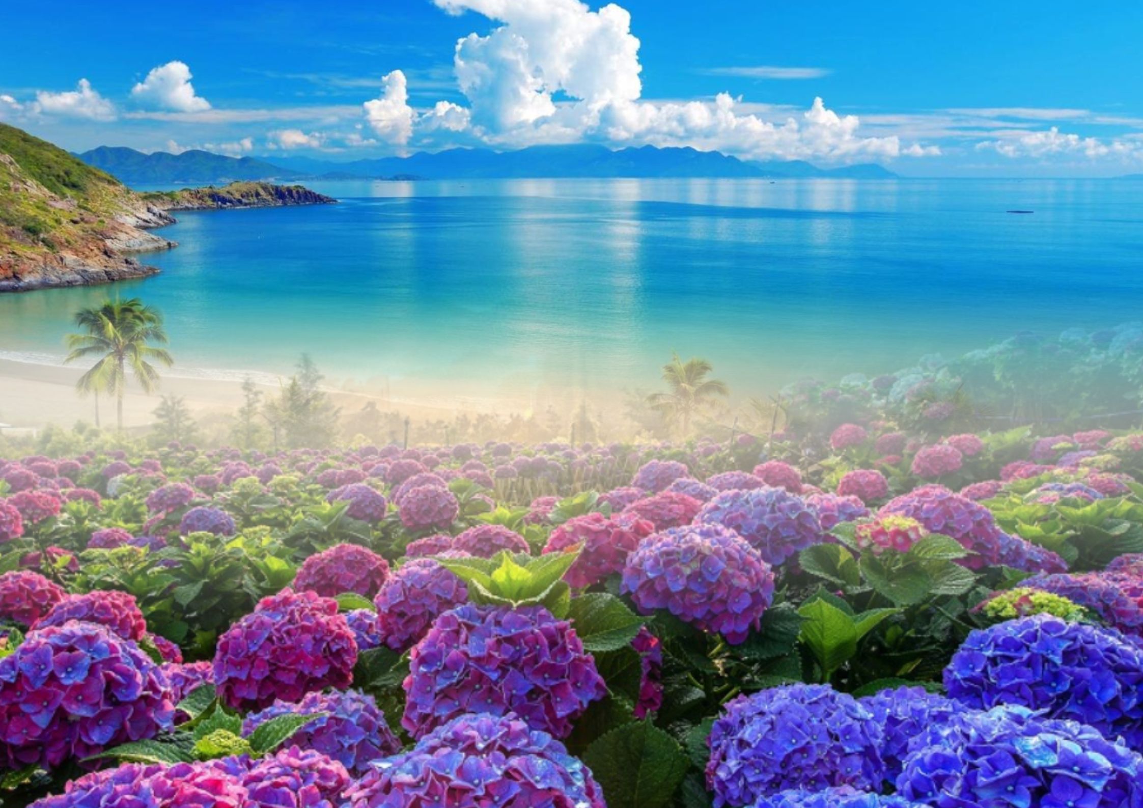 Tour du lịch Đà Lạt Nha Trang - Công Ty TNHH Tứ Thiên Kim